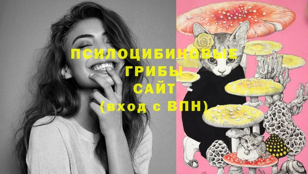 соль курить ск Лабытнанги