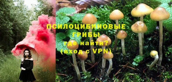 МДМА Лагань